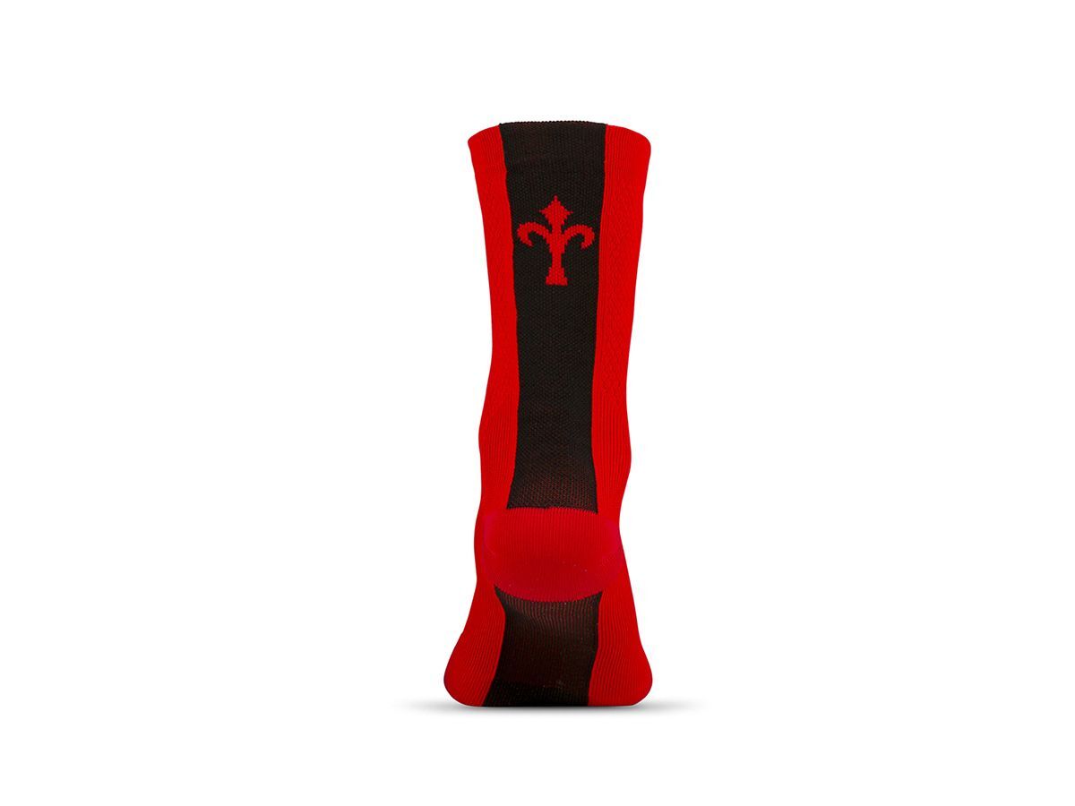 Wilier Triestina 車襪 紅色