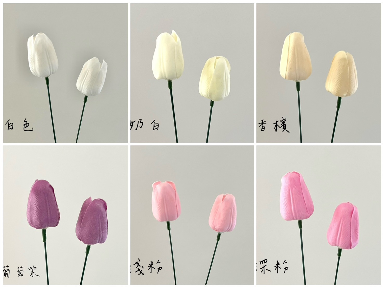 鬱金香肥皂花 (50入)