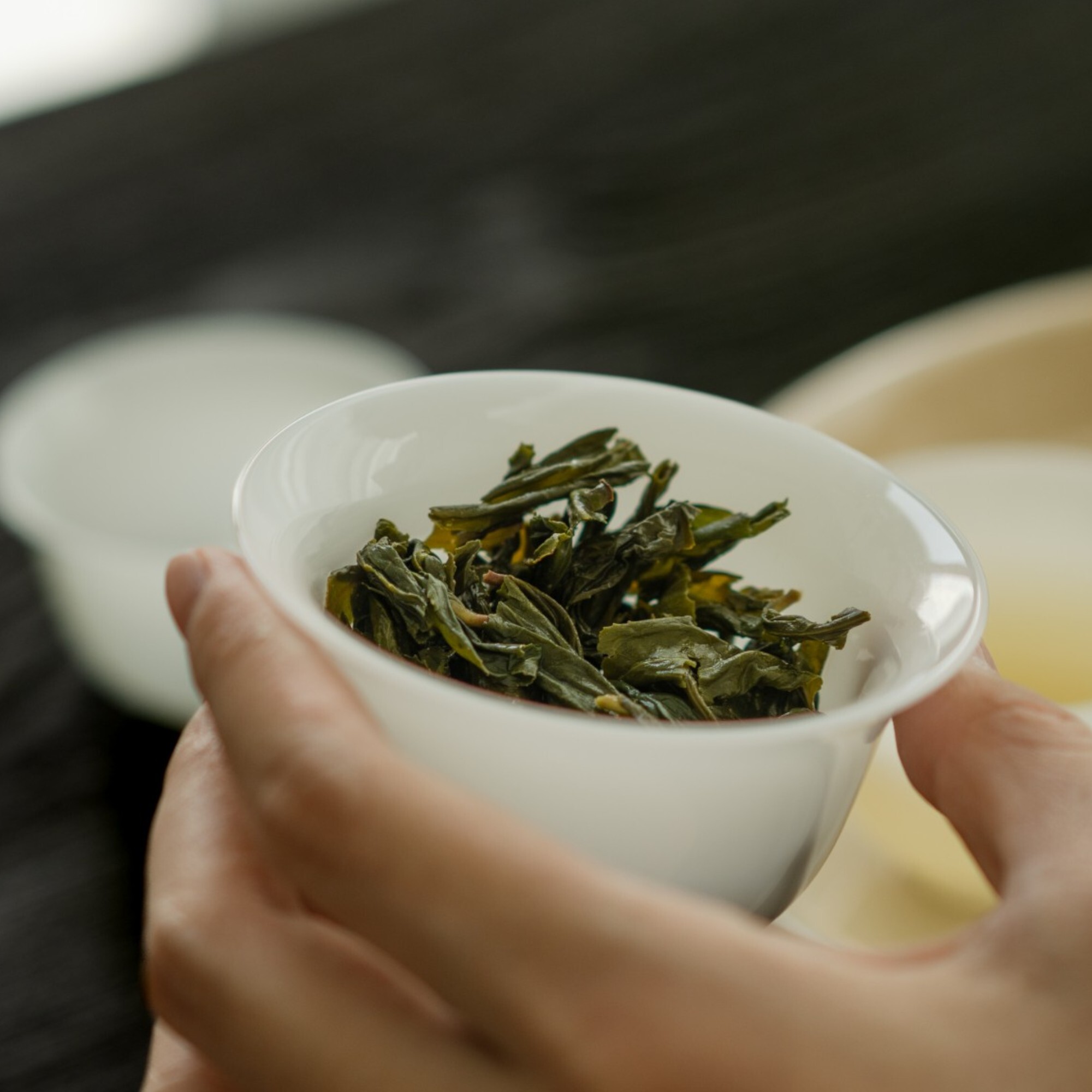 文山包種茶｜坪林青心烏龍・清雅花香｜BESTEA