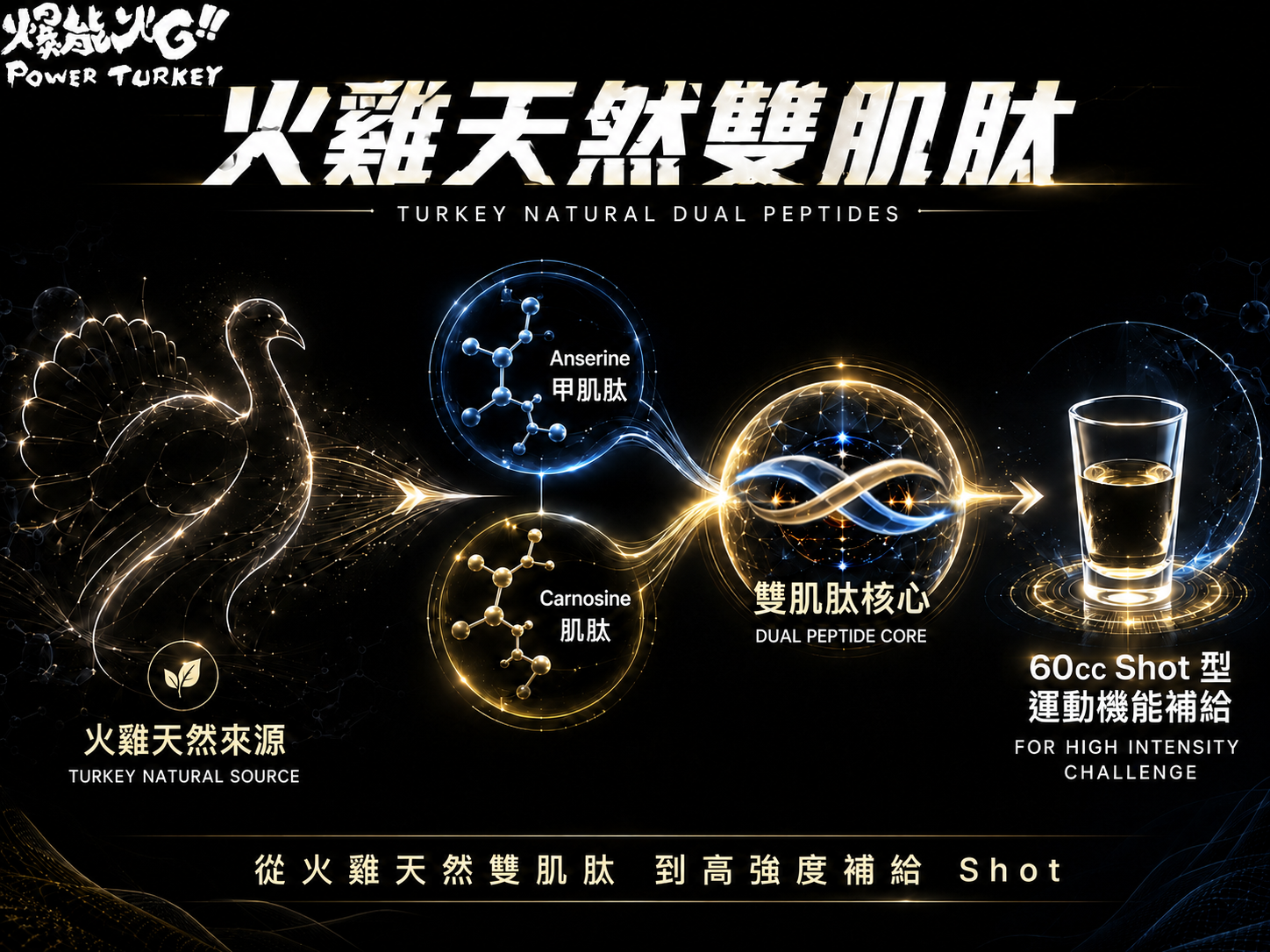 【火雞爆能肌肽飲】從火雞天然雙肌肽到高強度補給SHOT__MIGHTY GT TURKEY SHOT_爆能火G_趕食髦