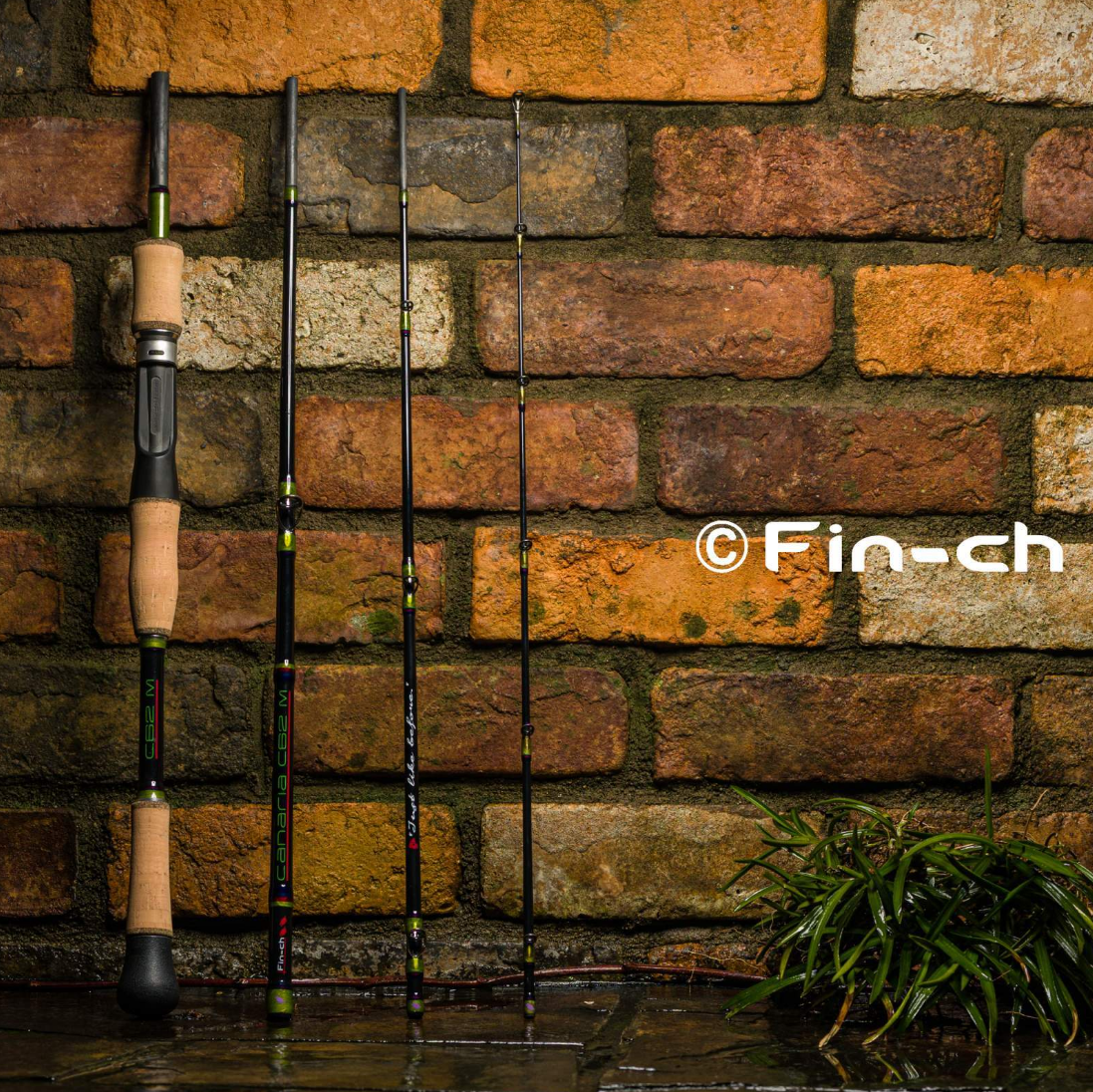 Fin-ch CANARIA 62M