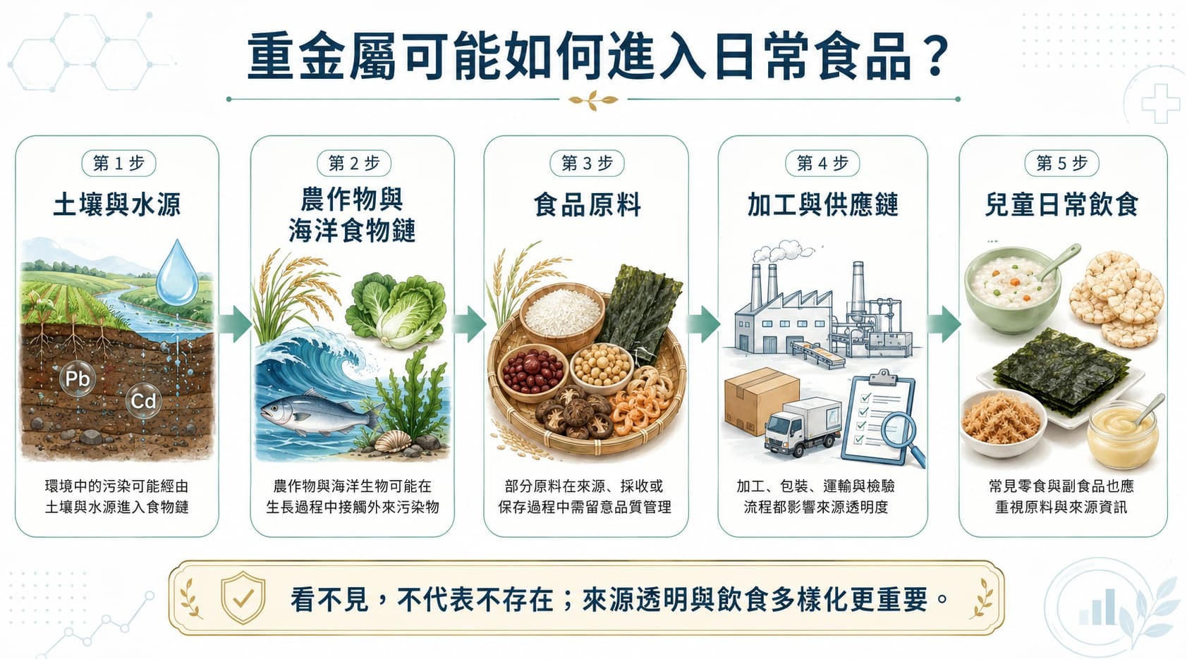 重金屬可能如何進入日常食品流程圖 重金屬可能透過土壤水源農作物食品原料加工供應鏈進入寶寶副食品與兒童日常飲食的流程圖