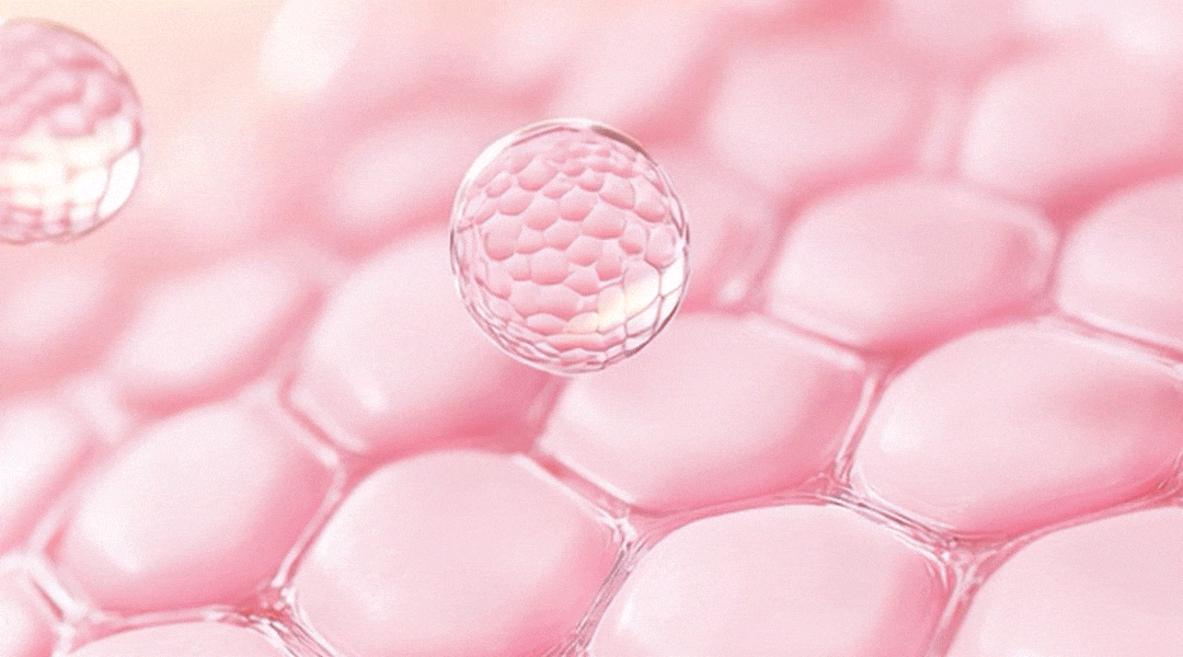 GIF02