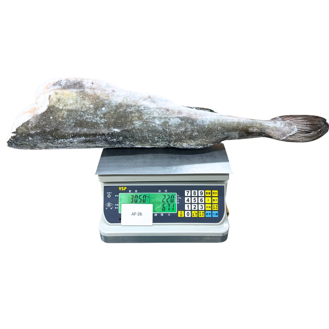 美國銀雪魚 (原條)