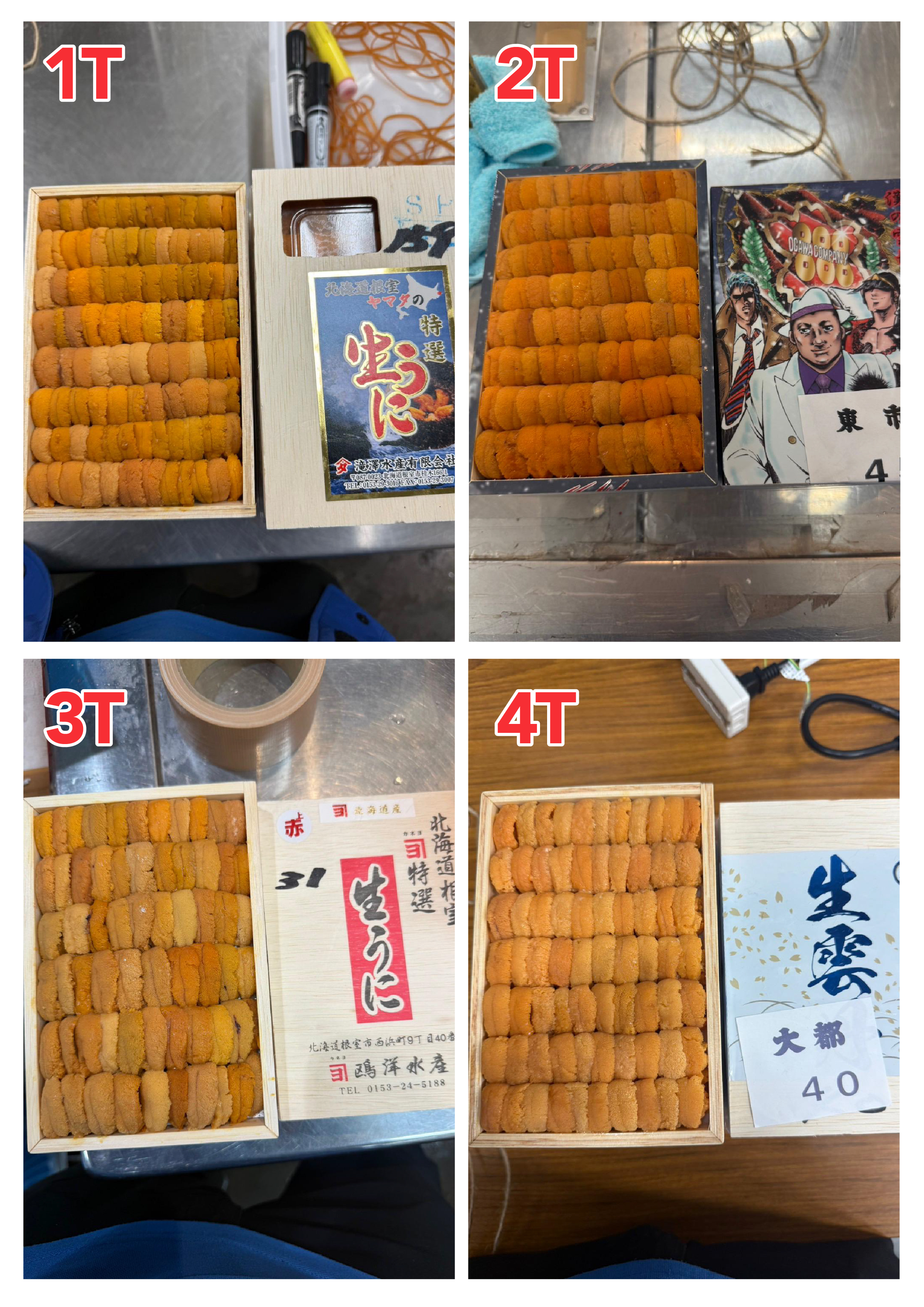 【指定海膽推薦】每天更新 (限即日落單, 翌日送)