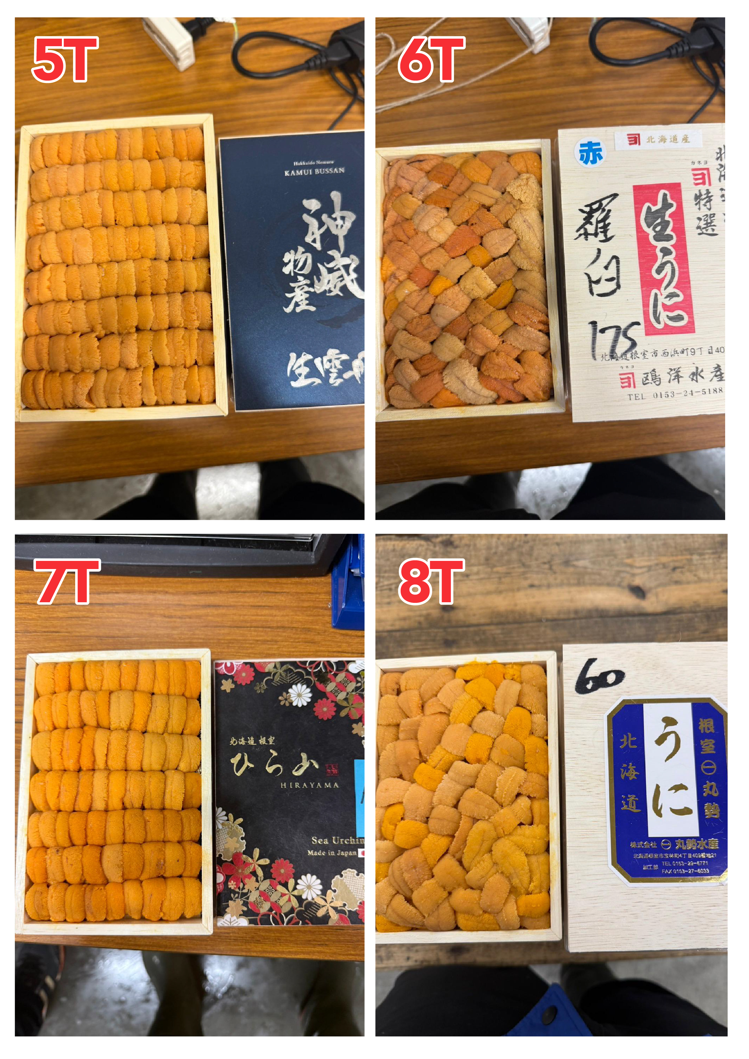 【指定海膽推薦】每天更新 (限即日落單, 翌日送)