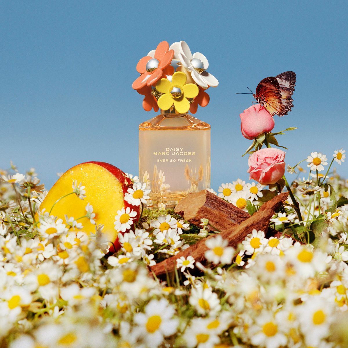 LYS01819 Marc Jacobs Daisy 清新雛菊永恆女士香水EDP 75ML