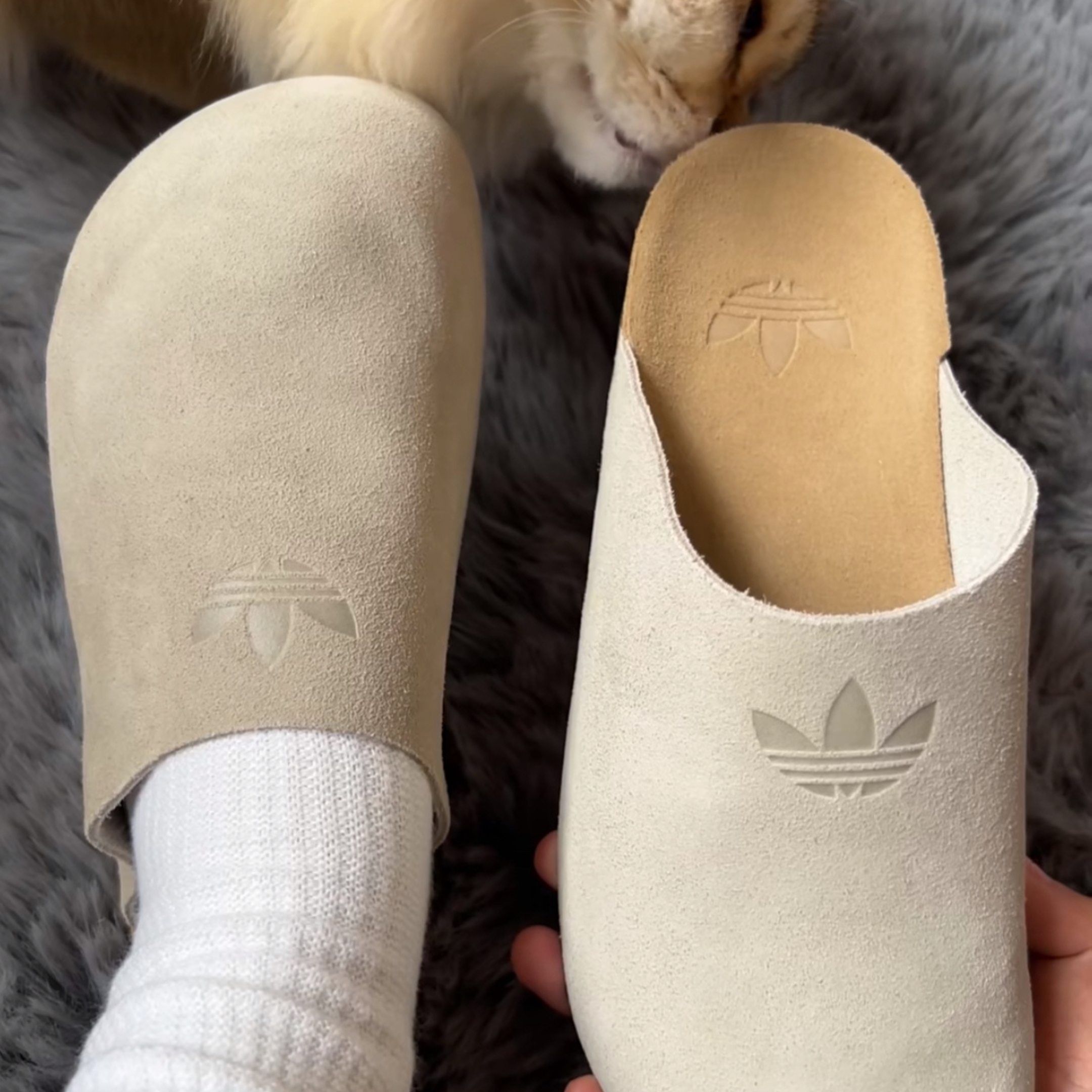 NICEDAY 代購 Adidas ADIMULE Slide 拖鞋 穆勒鞋 輕便 麂皮 奶茶色 大地色 IH6906