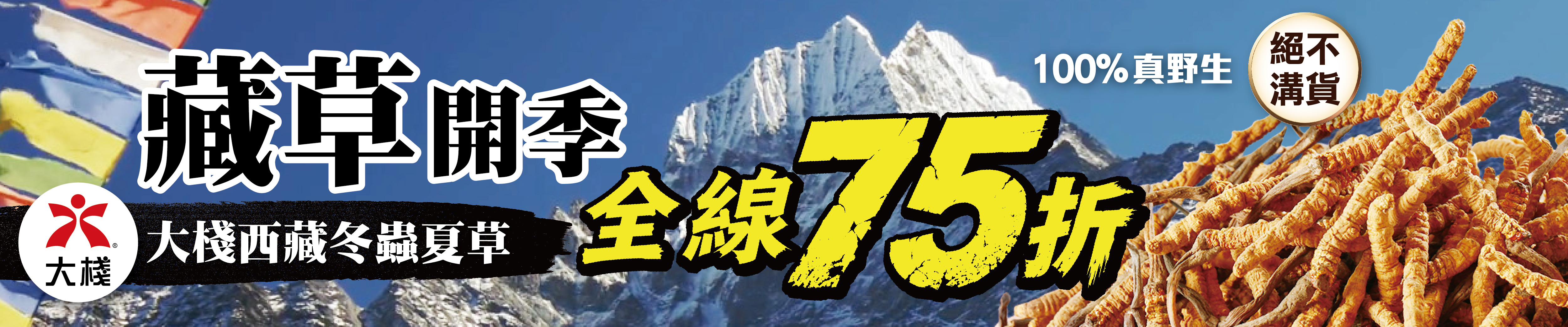 大棧西藏冬蟲夏草全線75折