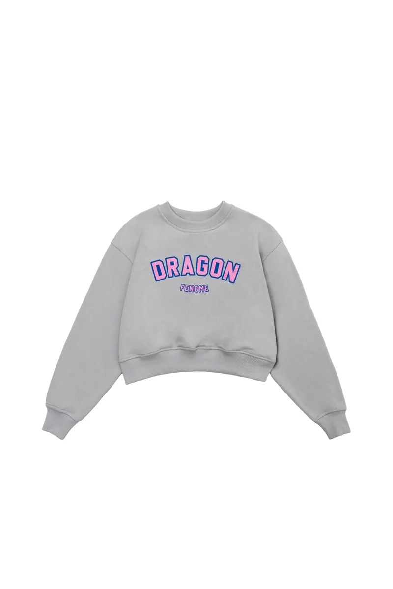 DRAGON FENGME Sweatshirt - Gray