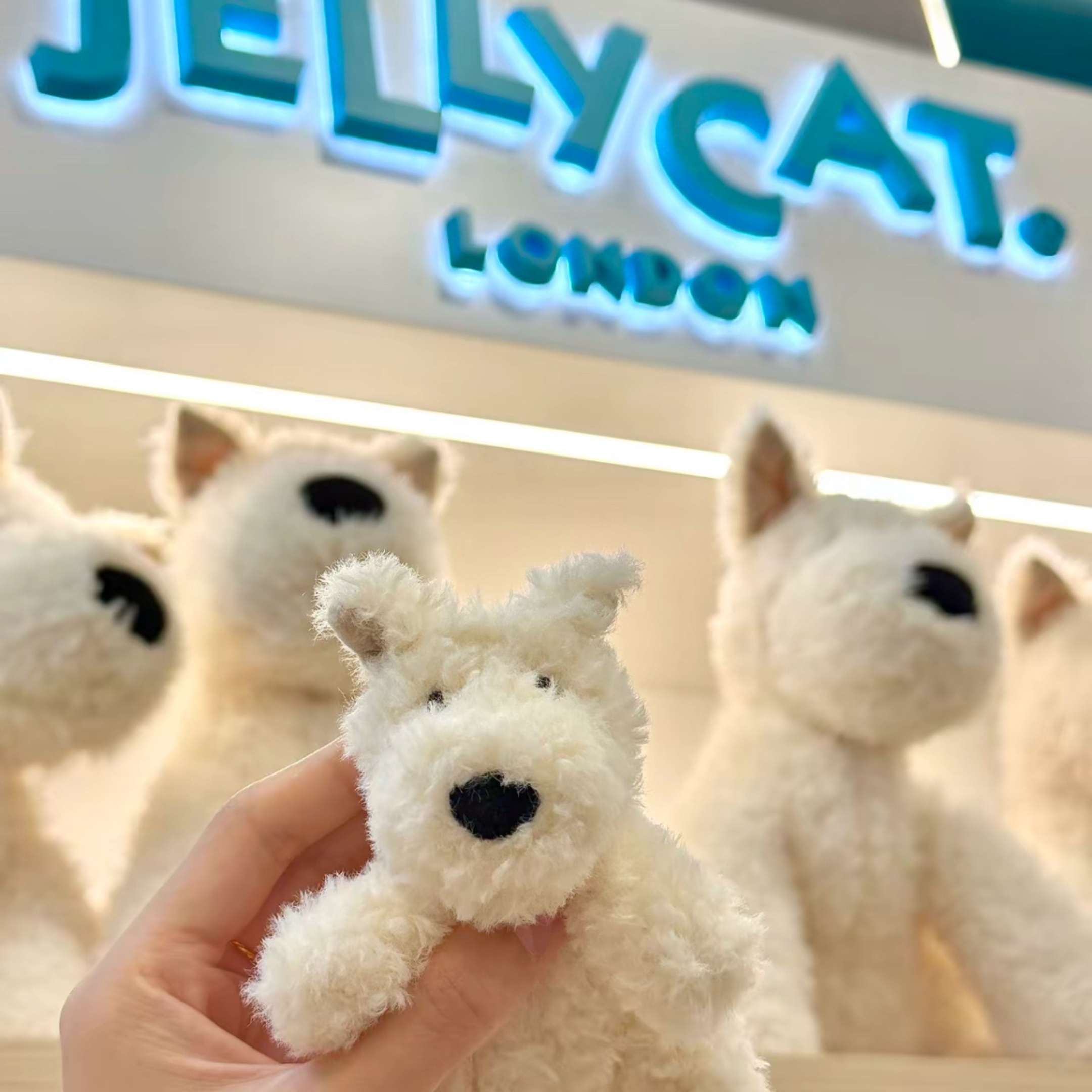NICEDAY 代購 Jellycat 狗系列 蘇格蘭 梗狗 吊飾 掛件 配飾 絨毛 娃娃