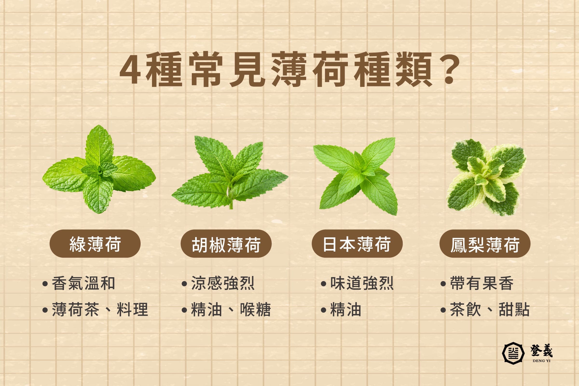 常見的4種薄荷葉