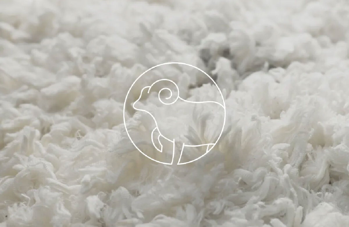 Merino Wool 美麗諾羊毛