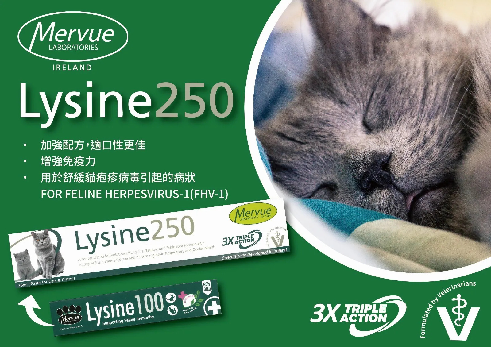 Mervue Lysine 250 貓用賴氨酸補充劑 30ml