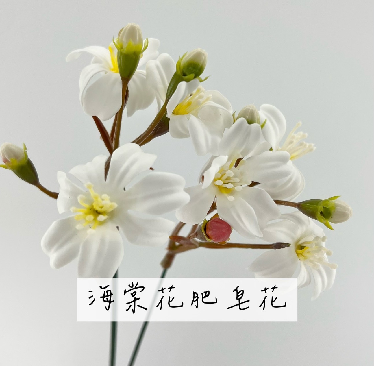 海棠花肥皂花 (40入)