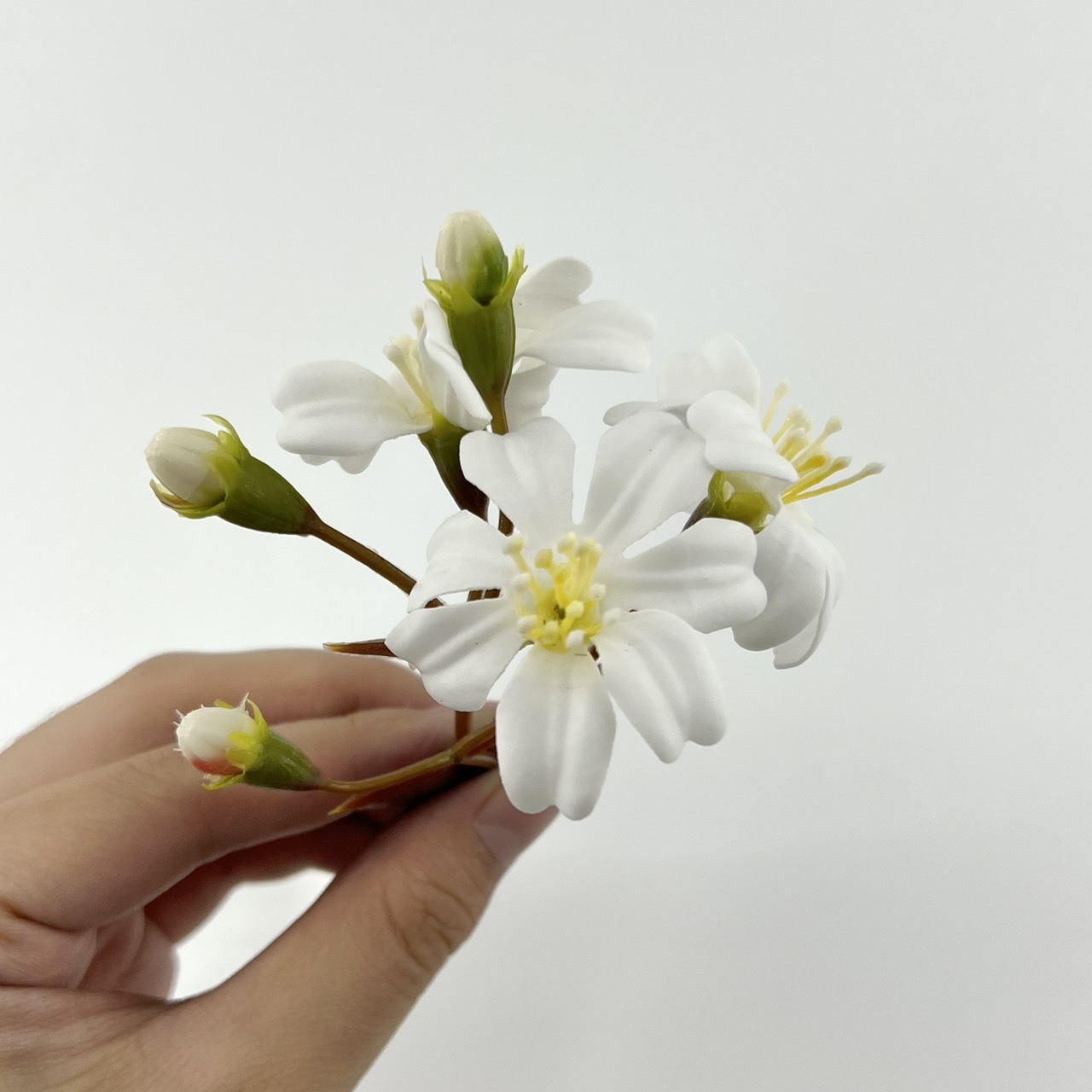 海棠花肥皂花 (40入)