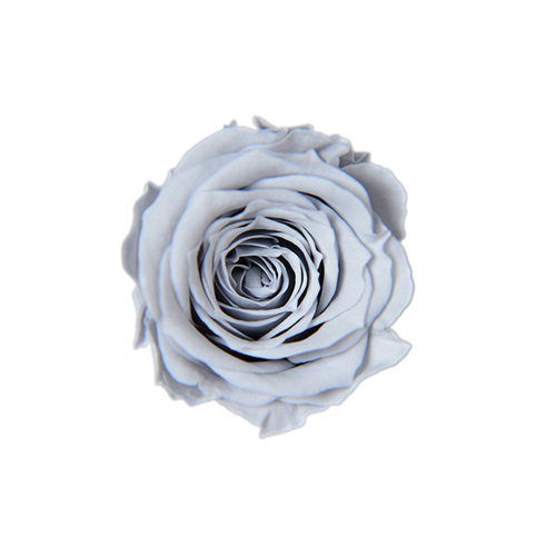 FL041-83 Silky Gray｜2-3cm 18輪｜Florever