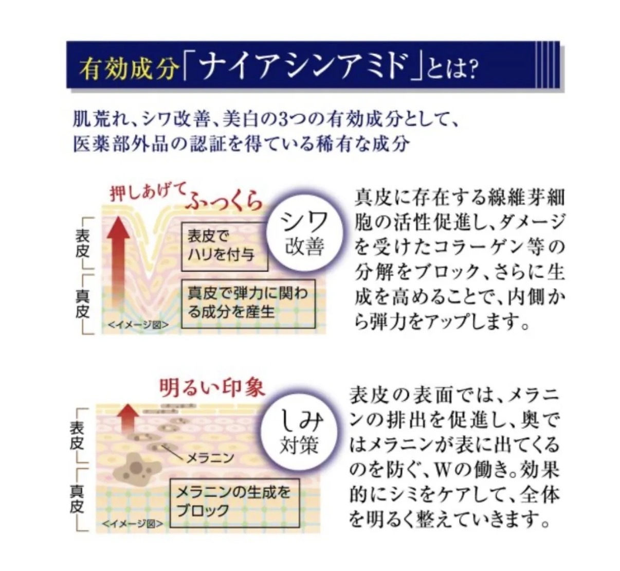 【多莉自用】JP PL 抗皺美白多功能水潤BB霜 30g 9641 TK260527