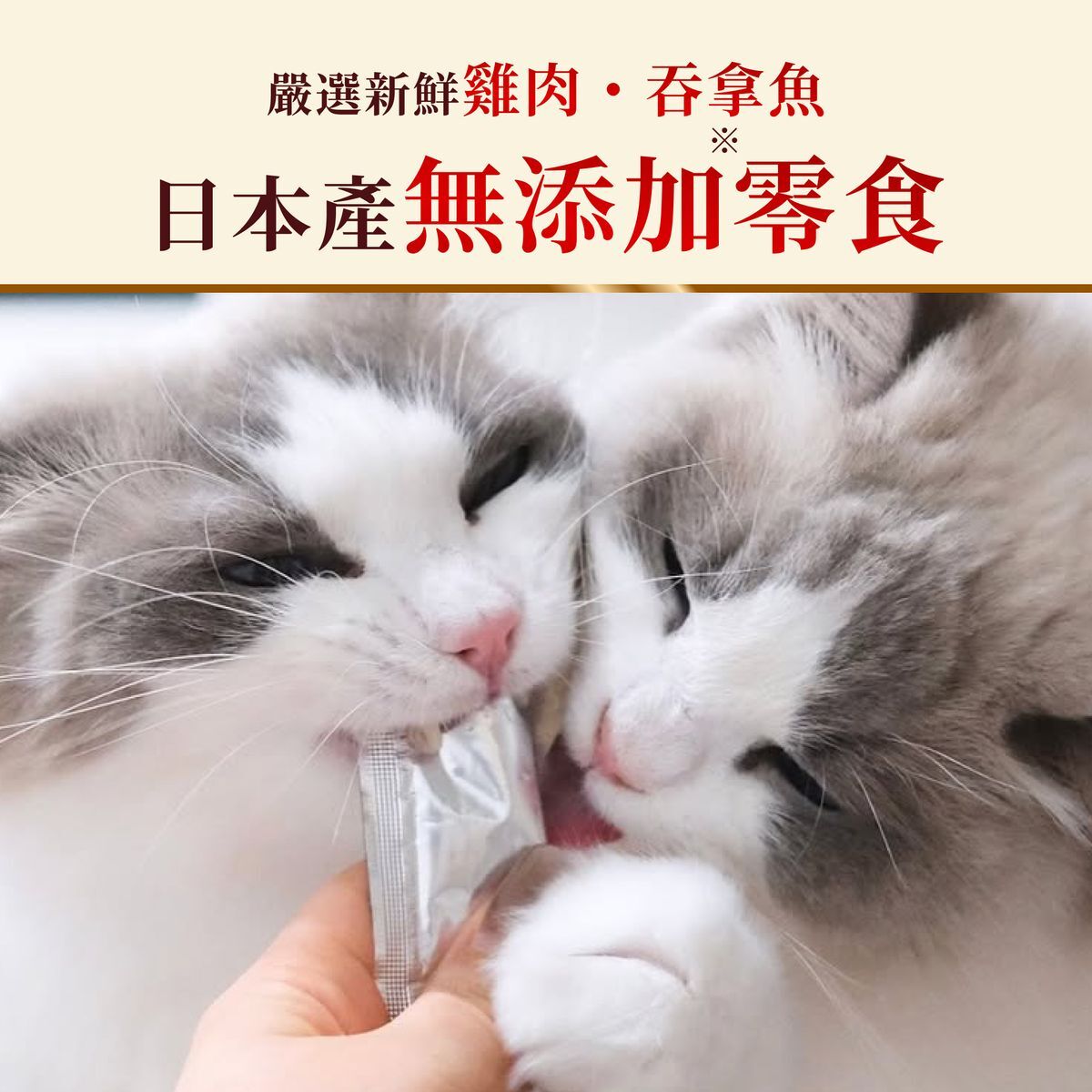【日本】Miao Gourmet 雞肉無添加貓肉泥 10g x 4本 (獸醫監修)