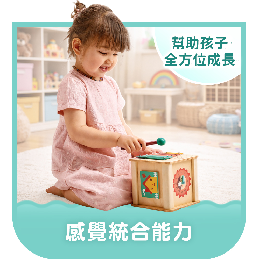木製兒童教玩具 感覺統合能力推薦分類