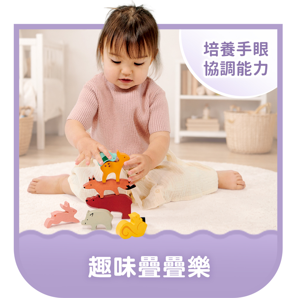 木製兒童教玩具 趣味疊疊樂推薦分類