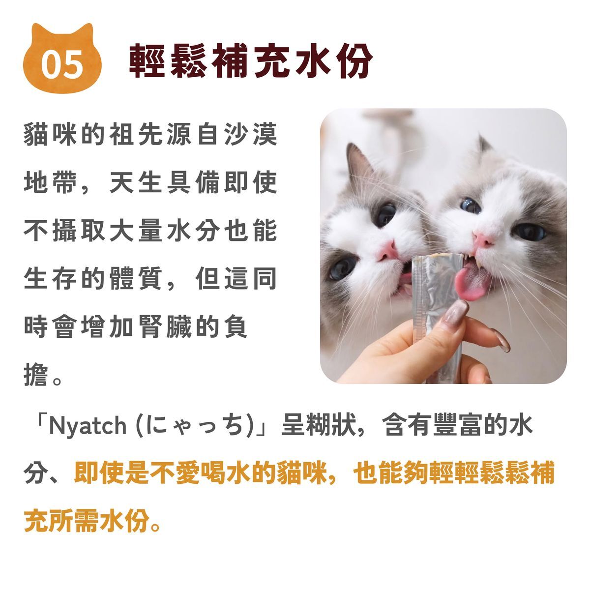 日本Miao Gourmet 貓肉泥