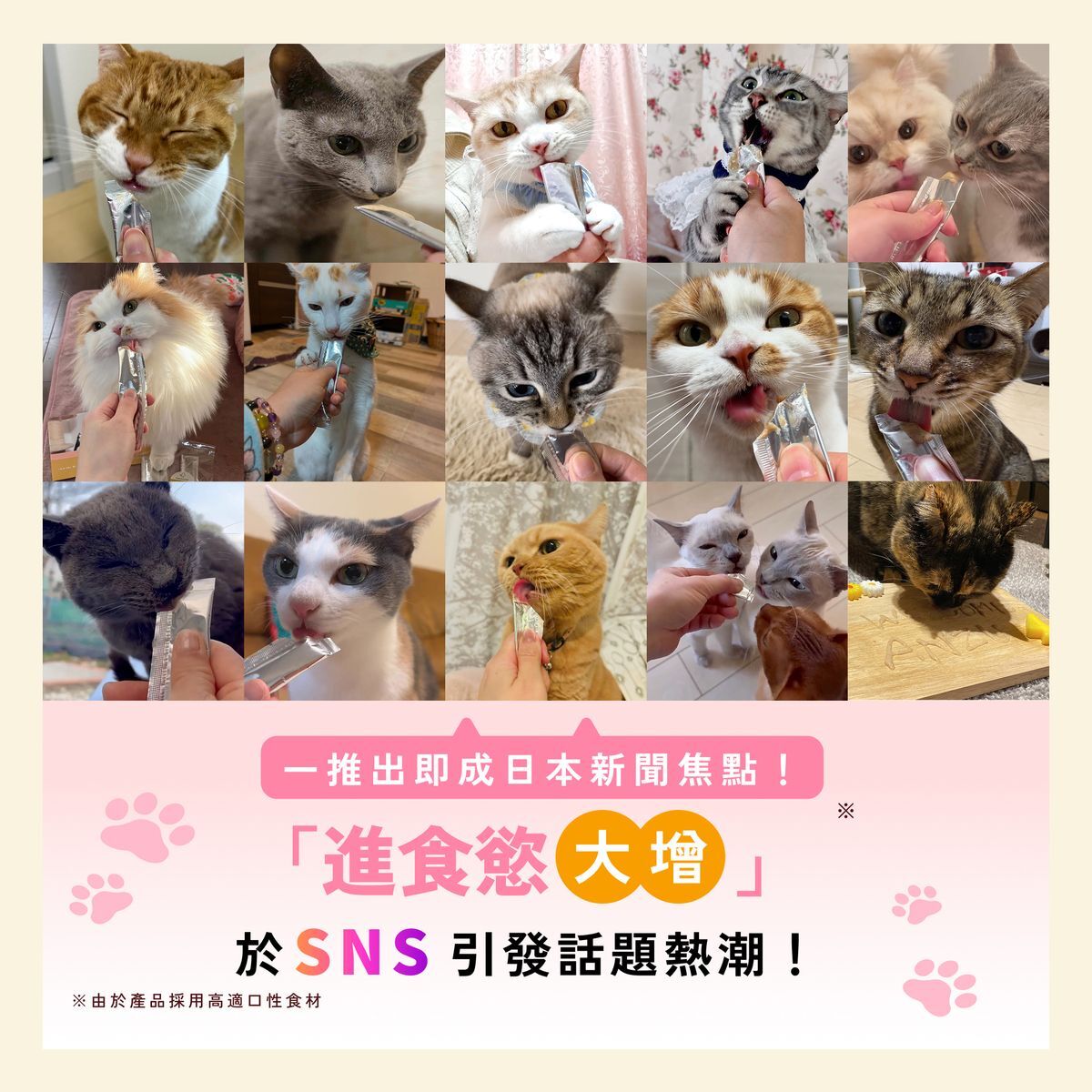 日本Miao Gourmet 貓肉泥