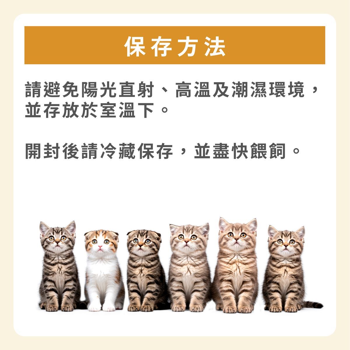 日本Miao Gourmet 貓肉泥