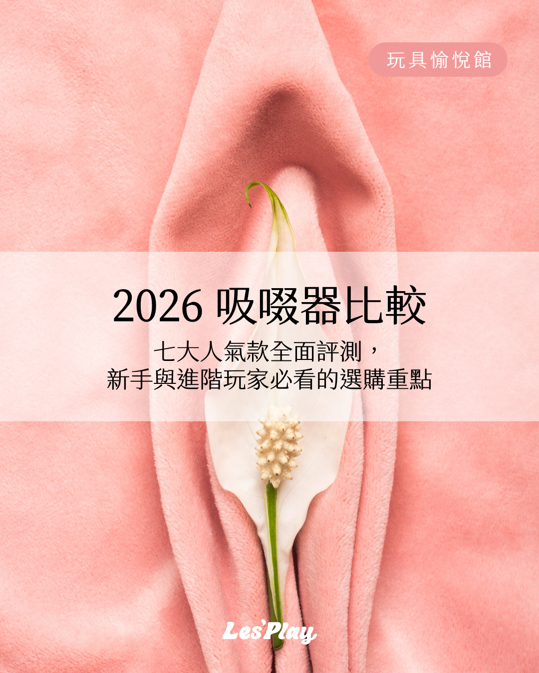 2026年七大吸啜器比較與評測