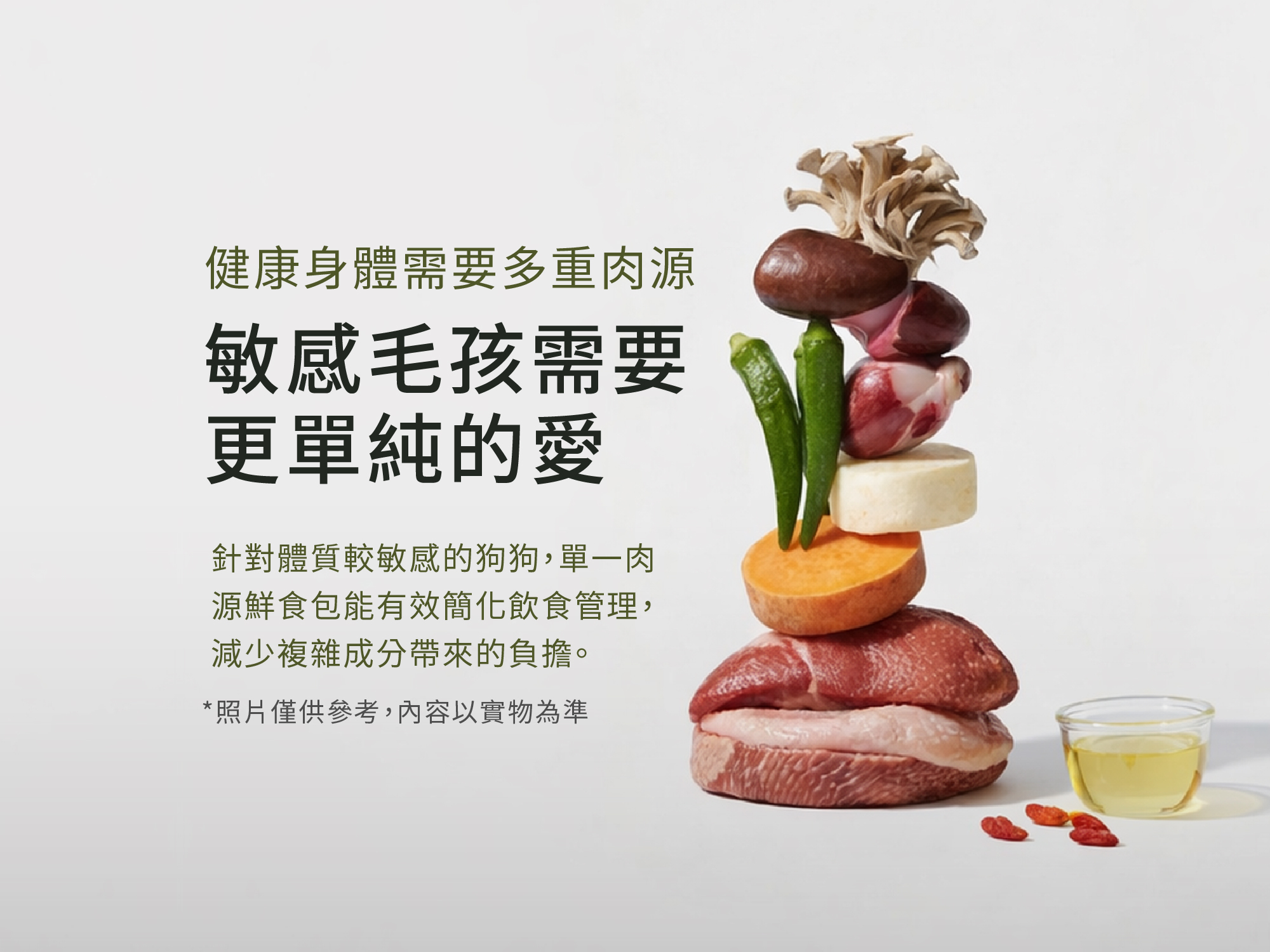 單一肉源鴨肉狗狗鮮食包｜敏感體質犬專用低敏主食