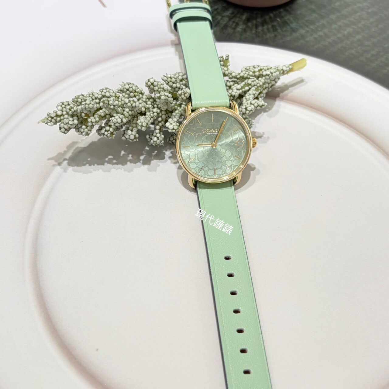 【COACH】牛油果LOGO紋路優雅腕錶 CO14504633 28mm 現代鐘錶