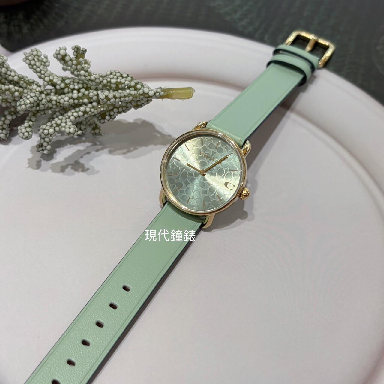 【COACH】牛油果LOGO紋路優雅腕錶 CO14504633 28mm 現代鐘錶