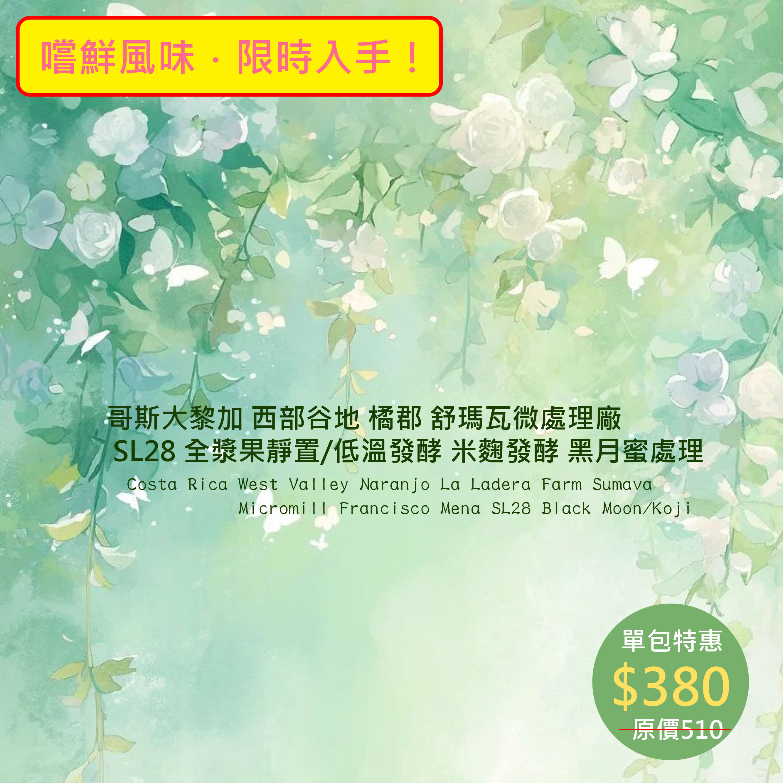 ★嚐鮮好豆★哥斯大黎加 西部谷地 橘郡 舒瑪瓦微處理廠 SL28 全漿果靜置/低溫發酵 米麴發酵 黑月蜜處理 (半磅)