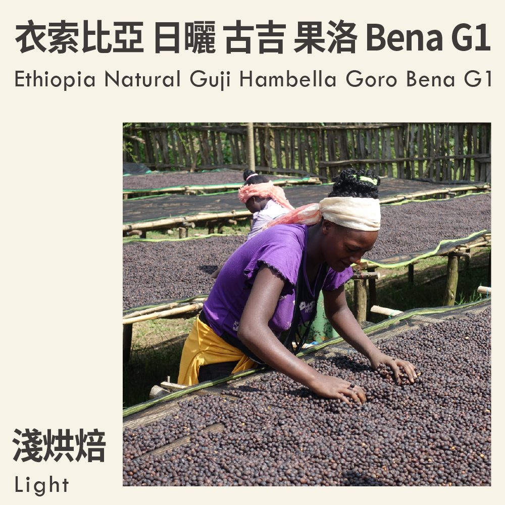 衣索比亞 日曬 古吉 罕貝拉 果洛 Bena G1