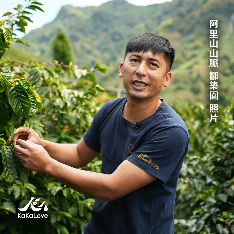[Alishan Competition First Runner-up] Taiwan Natural Alishan Lalauya Zou Zhu Yuan So'ngna  4oz