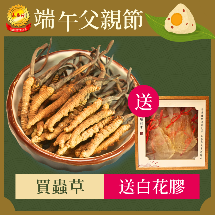 【買蟲草送白花膠】西藏那曲純野生冬蟲夏草 (1両裝)  (本產品不能與永泰行網店優惠同時使用)
