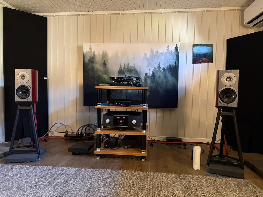 Audiovector R1 Arrete Italian Walnut Speaker Home Setup