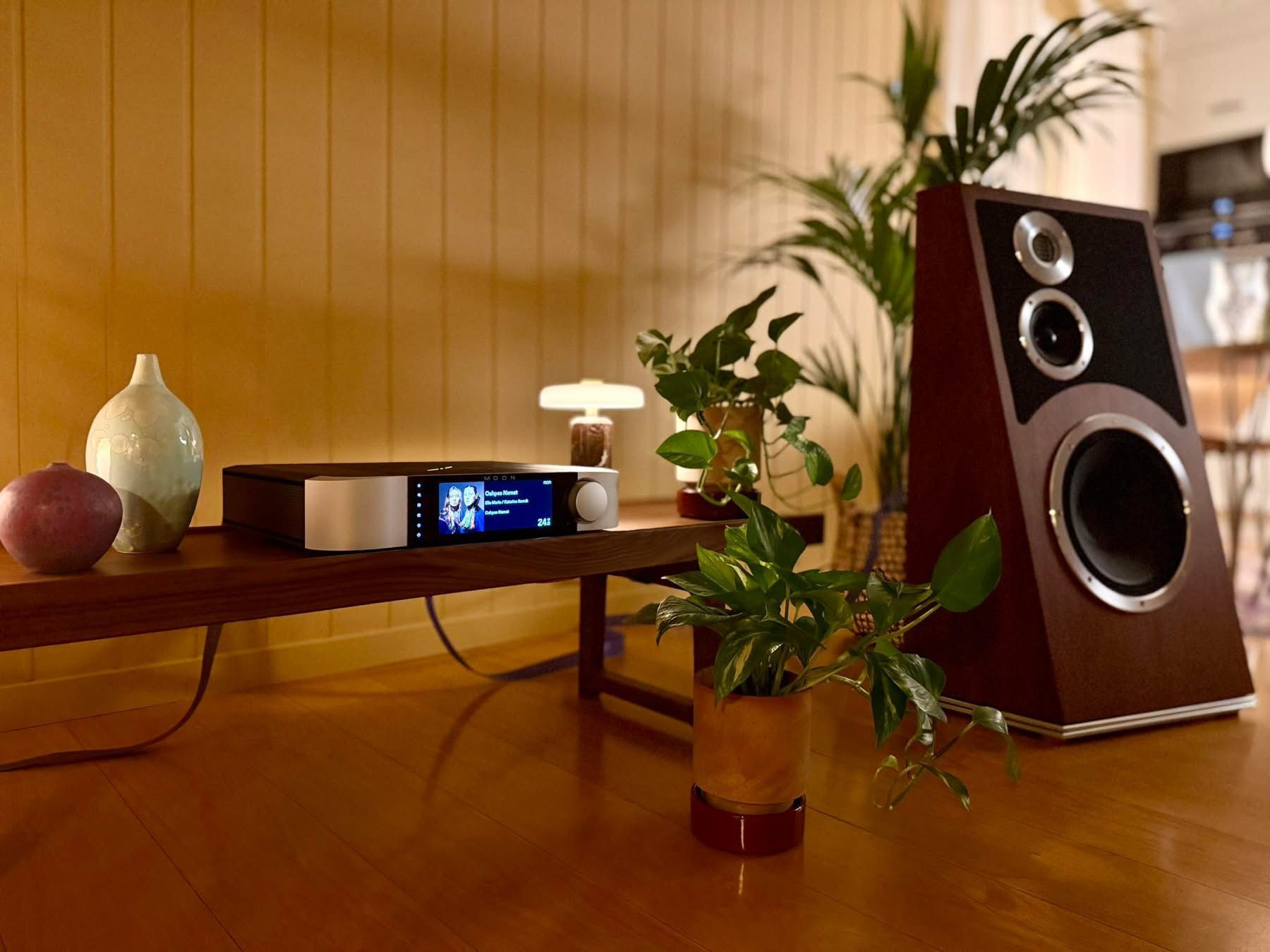 Audiovector Trapeze Italian Walnut Home Setup Closeup