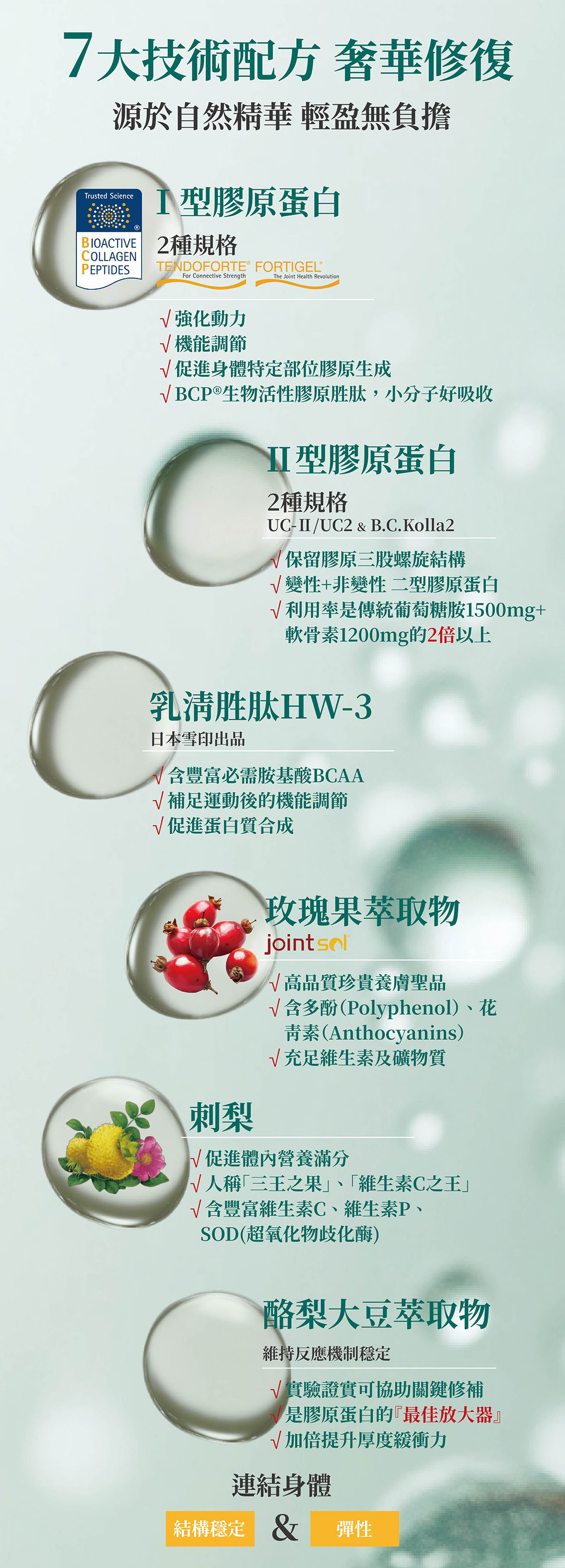 Ⅰ型膠原蛋白2種專利規格,Ⅱ型膠原蛋白2種專利規格,BCAA乳清胜肽,玫瑰果萃取物,刺梨,酪梨大豆萃取物