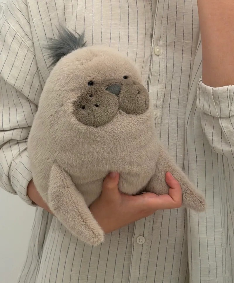 <快抱抱我!!🦭👋> Jellycat 胖胖羅威爾海獅 20cm