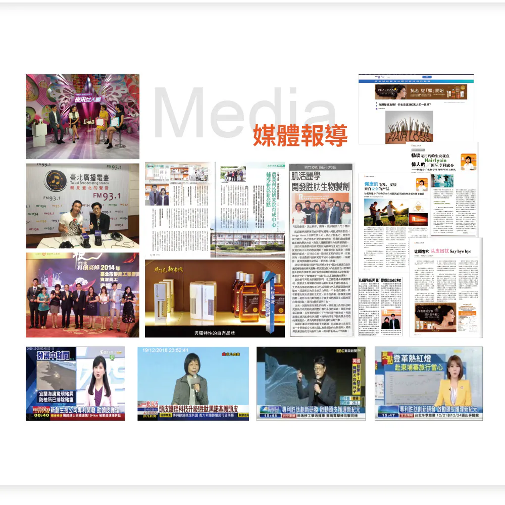 媒體報導