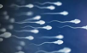 semen