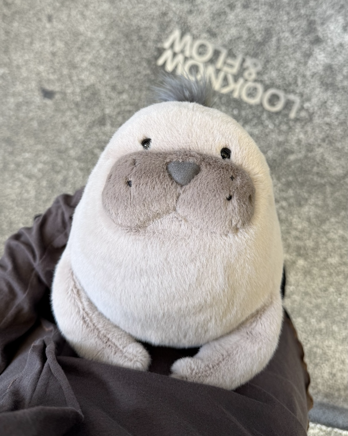JELLYCAT ROARWELL 羅威爾 海獅 絨毛 玩偶 娃娃 20cm