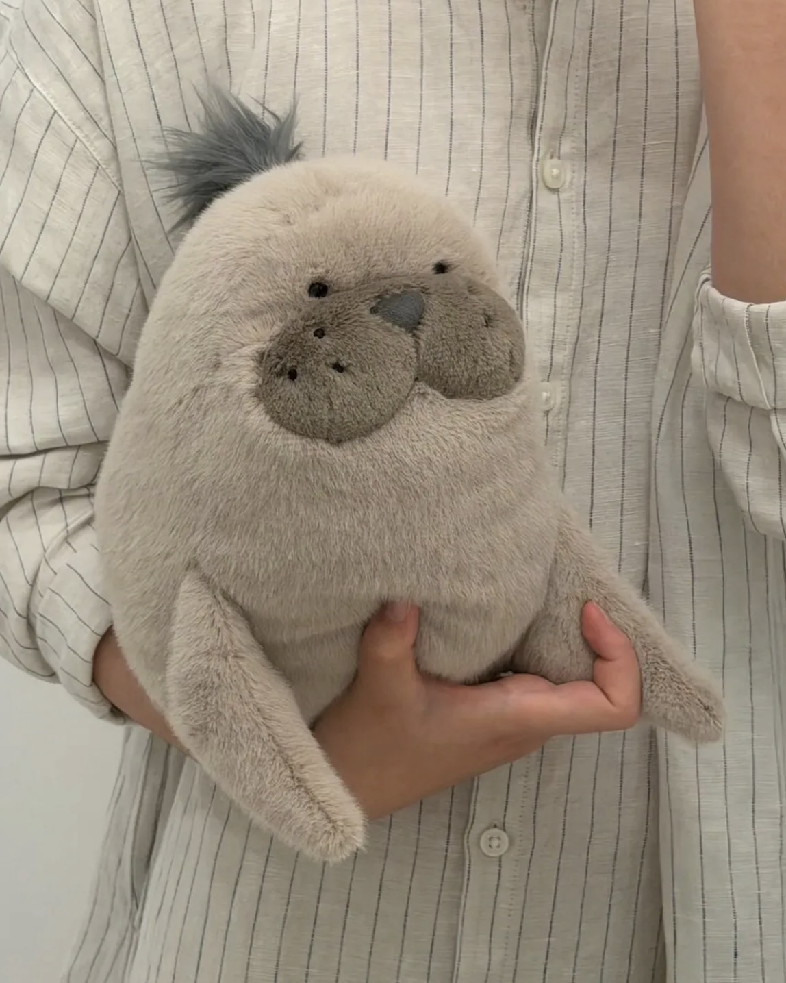 JELLYCAT ROARWELL 羅威爾 海獅 絨毛 玩偶 娃娃 20cm