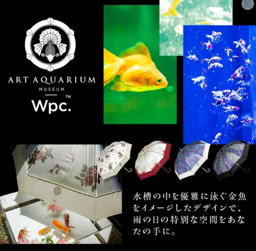 ac1442/wpc- 藍色 -藝術水族館金魚透明長雨傘/雨遮