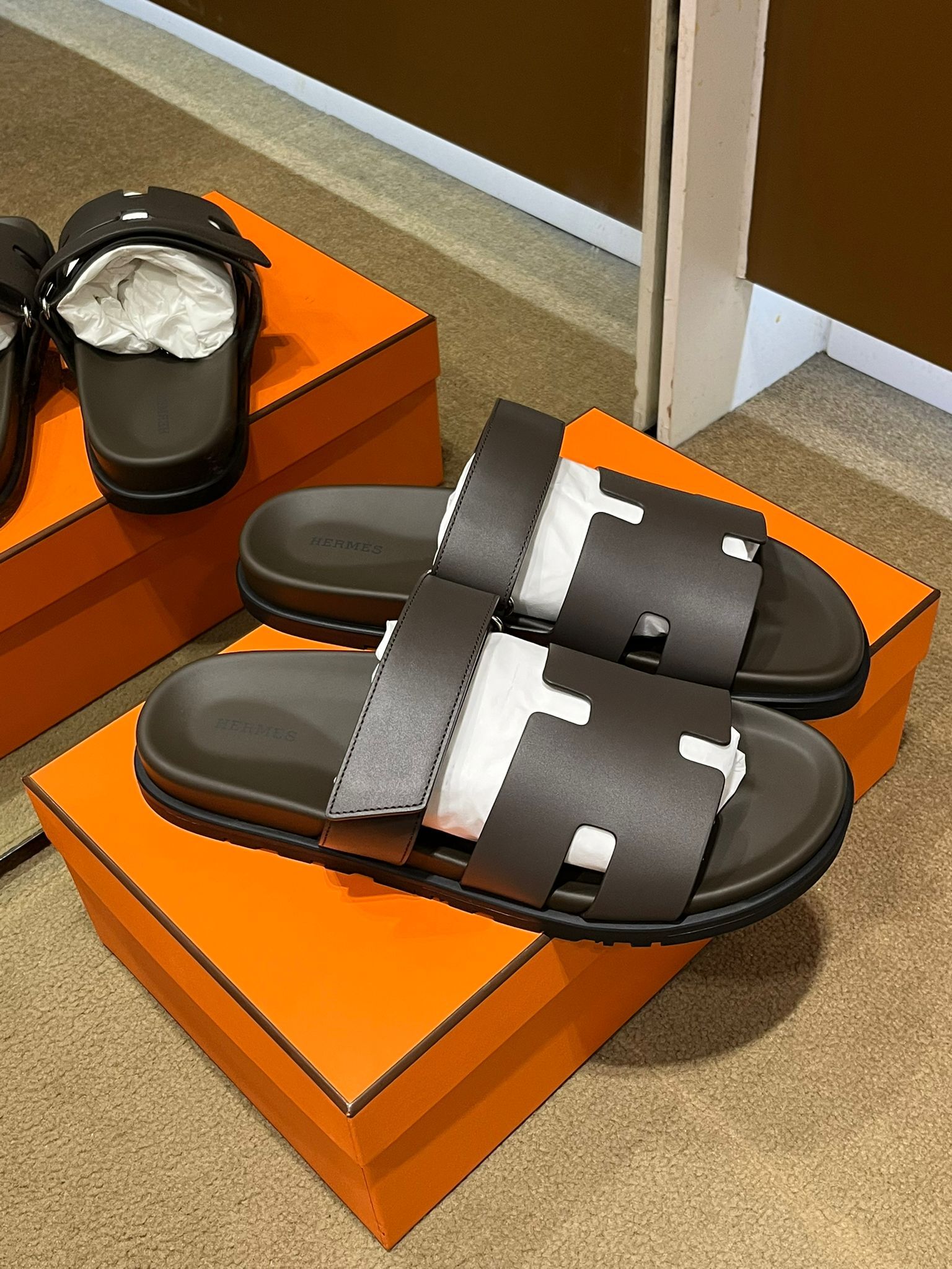 Chypre sandal Écorce (可預訂size )