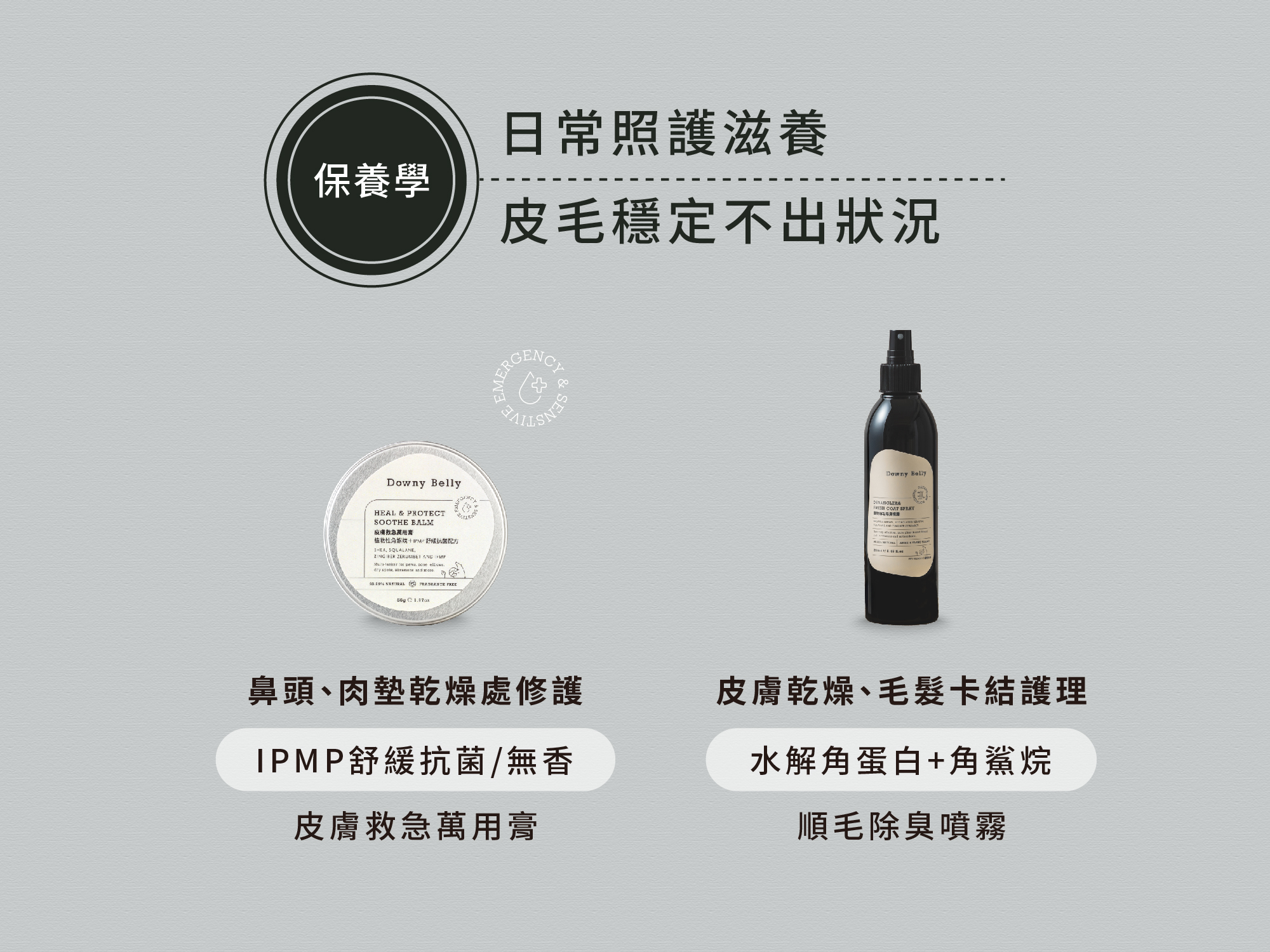 狗狗乾洗澡與週間清潔使用寵物順毛噴霧護理毛髮