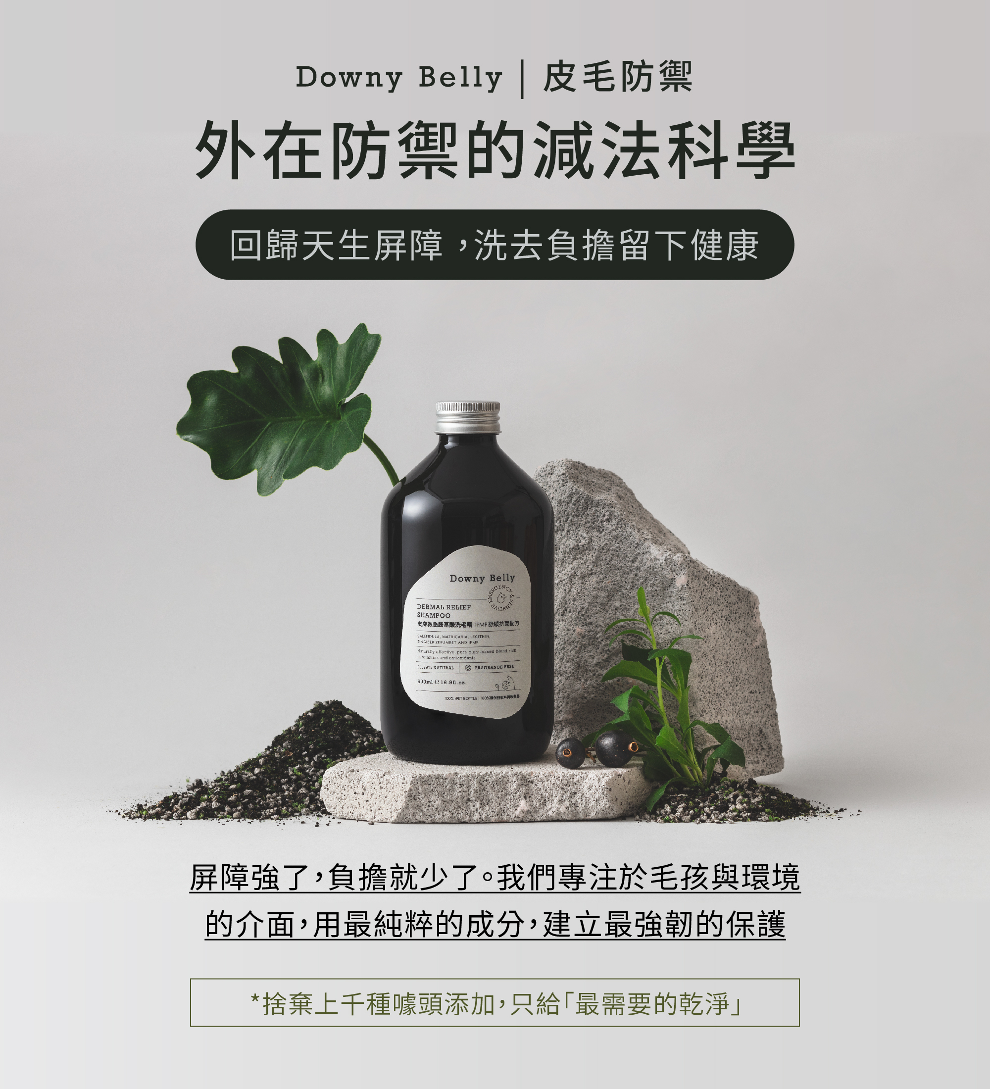 皮膚救急胺基酸洗毛精｜IPMP植萃抗菌｜狗狗皮膚過敏洗毛精