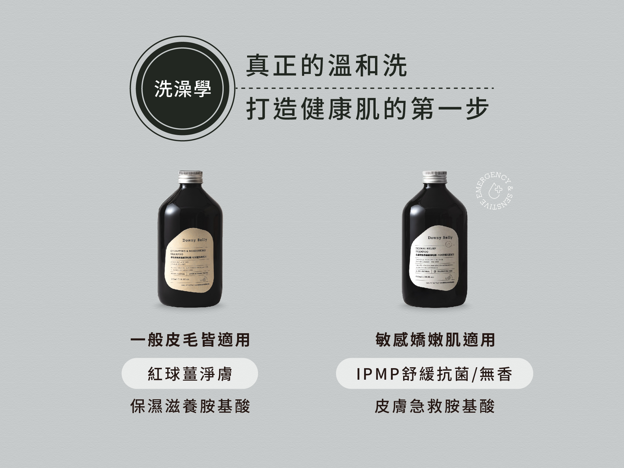 溫和胺基酸寵物洗毛精推薦
