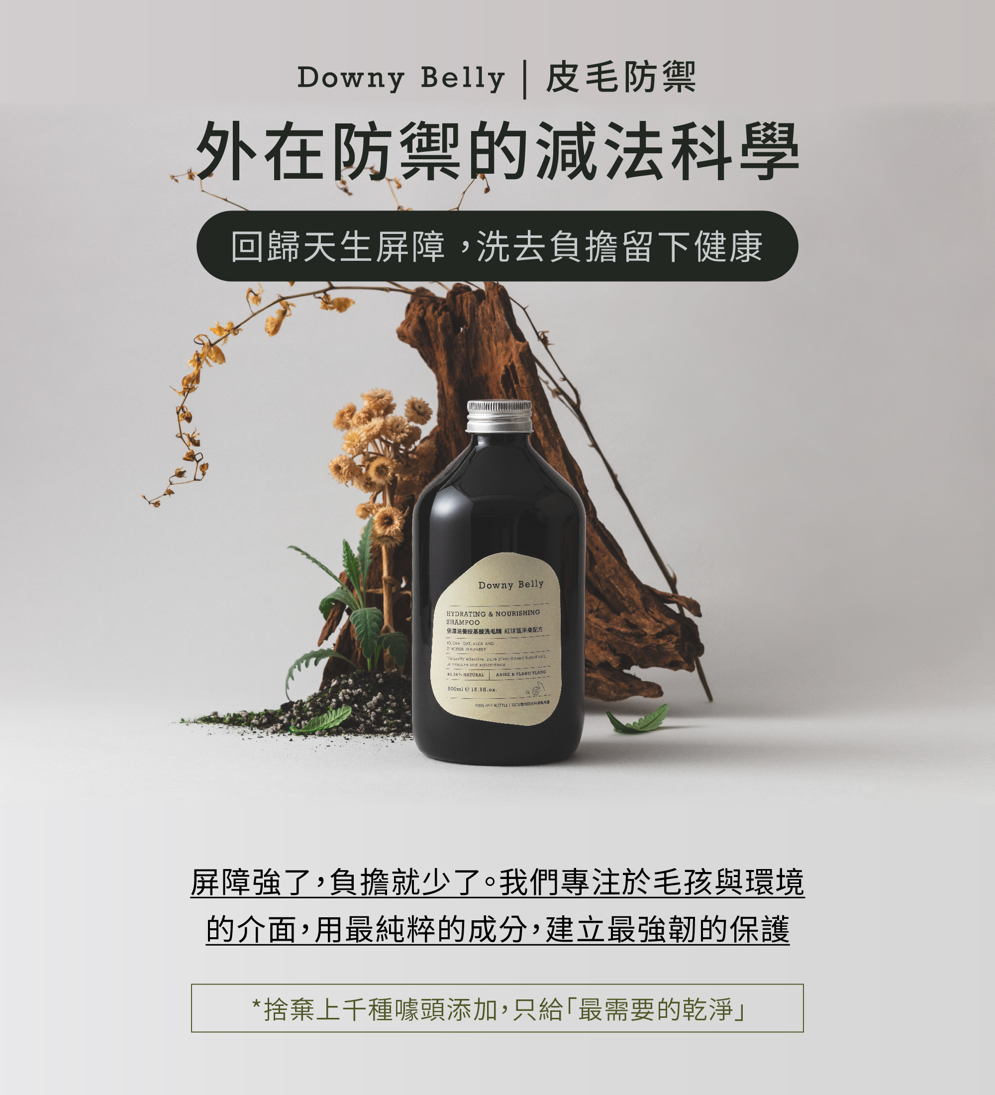 毛肚子保濕滋養胺基酸洗毛精｜紅球薑淨膚配方｜日常寵物洗護產品